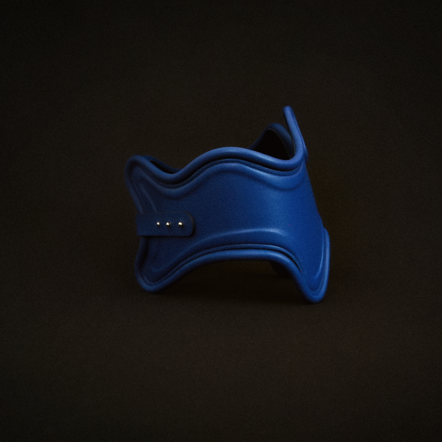 Sculpted Waist Belt