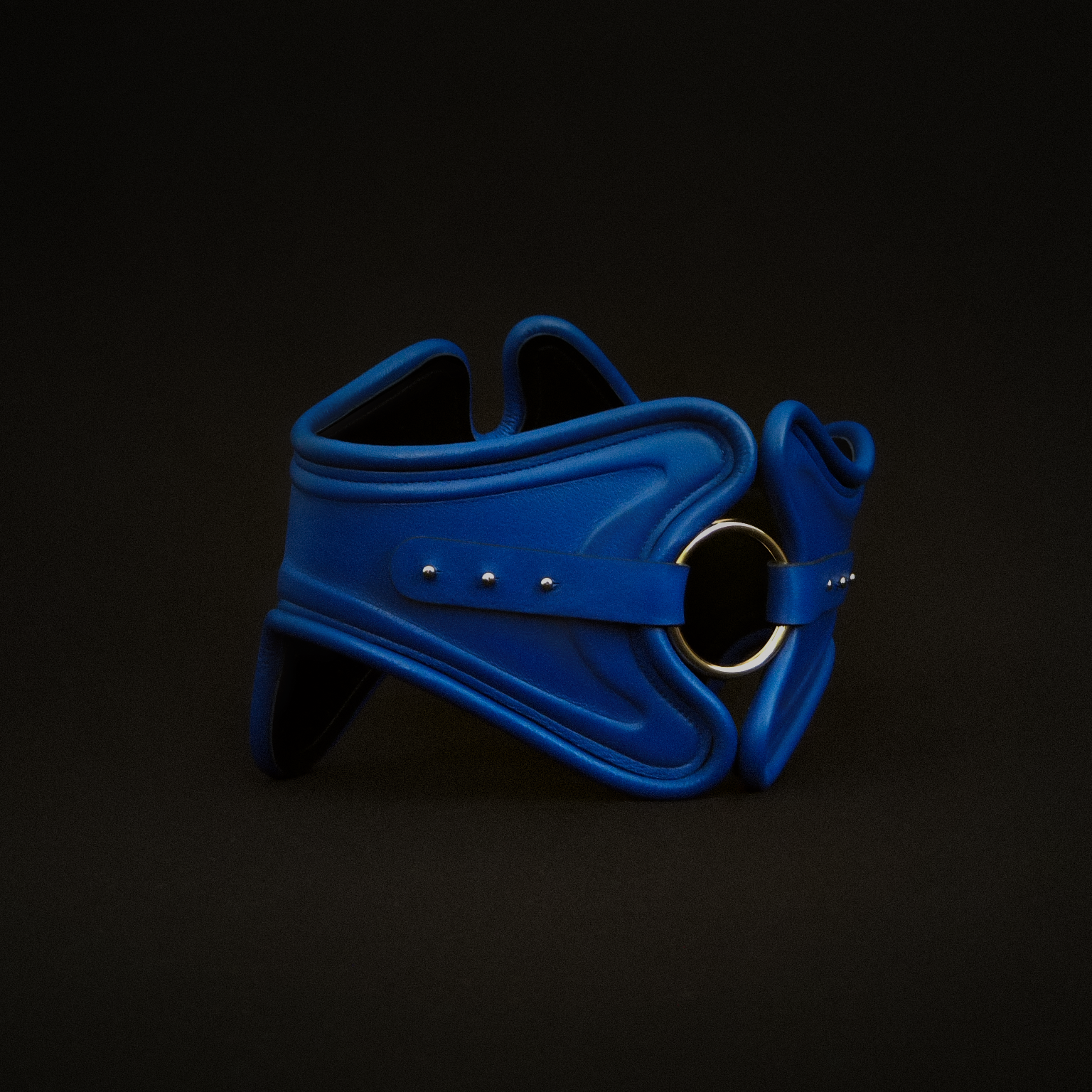 Sculpted Waist Belt
